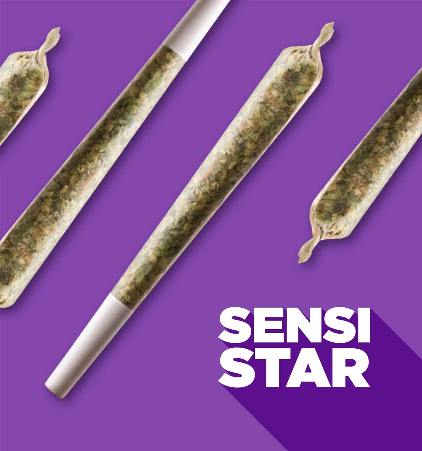 Sensi star with pre-roll