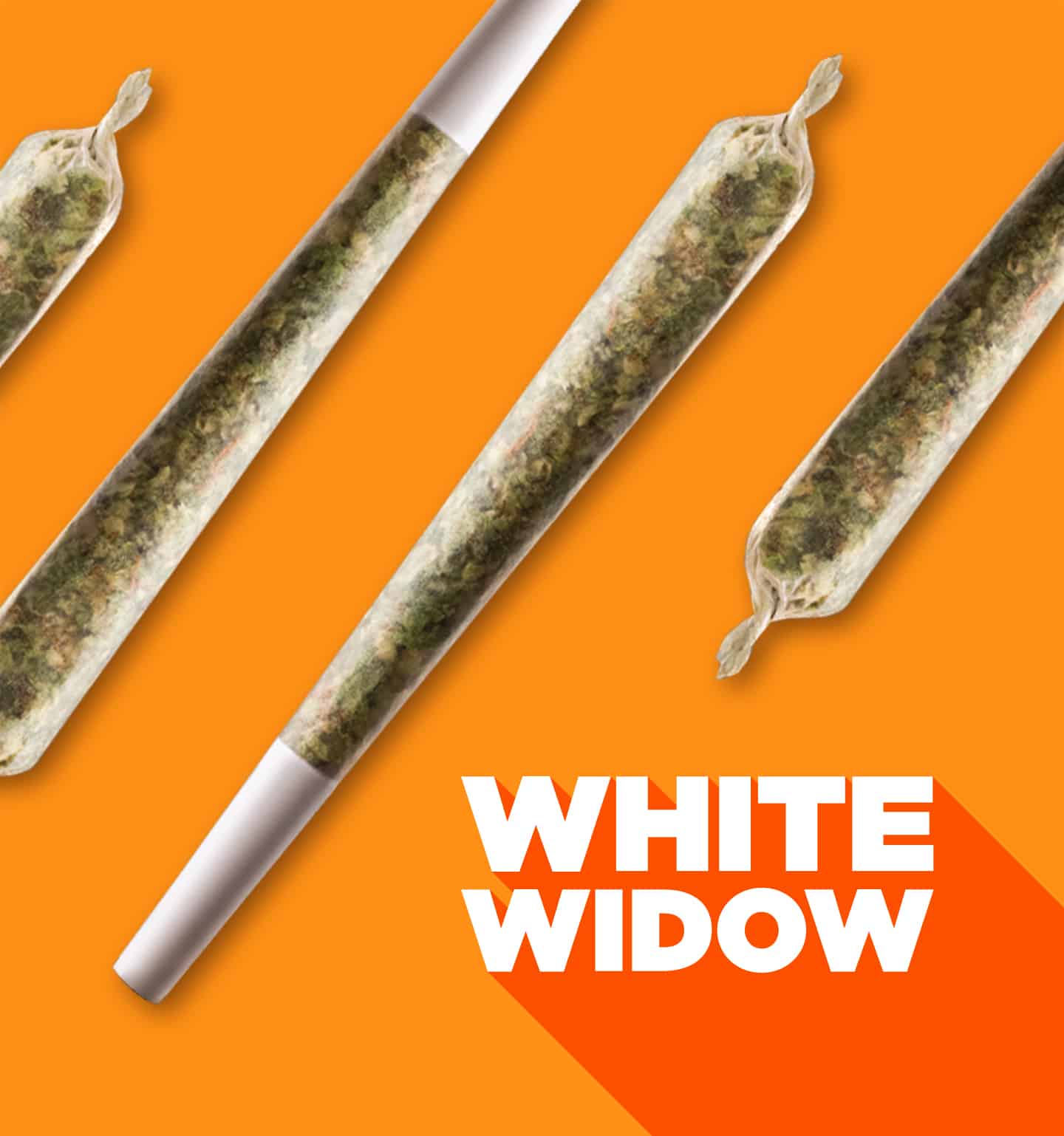 White Widow with pre-roll