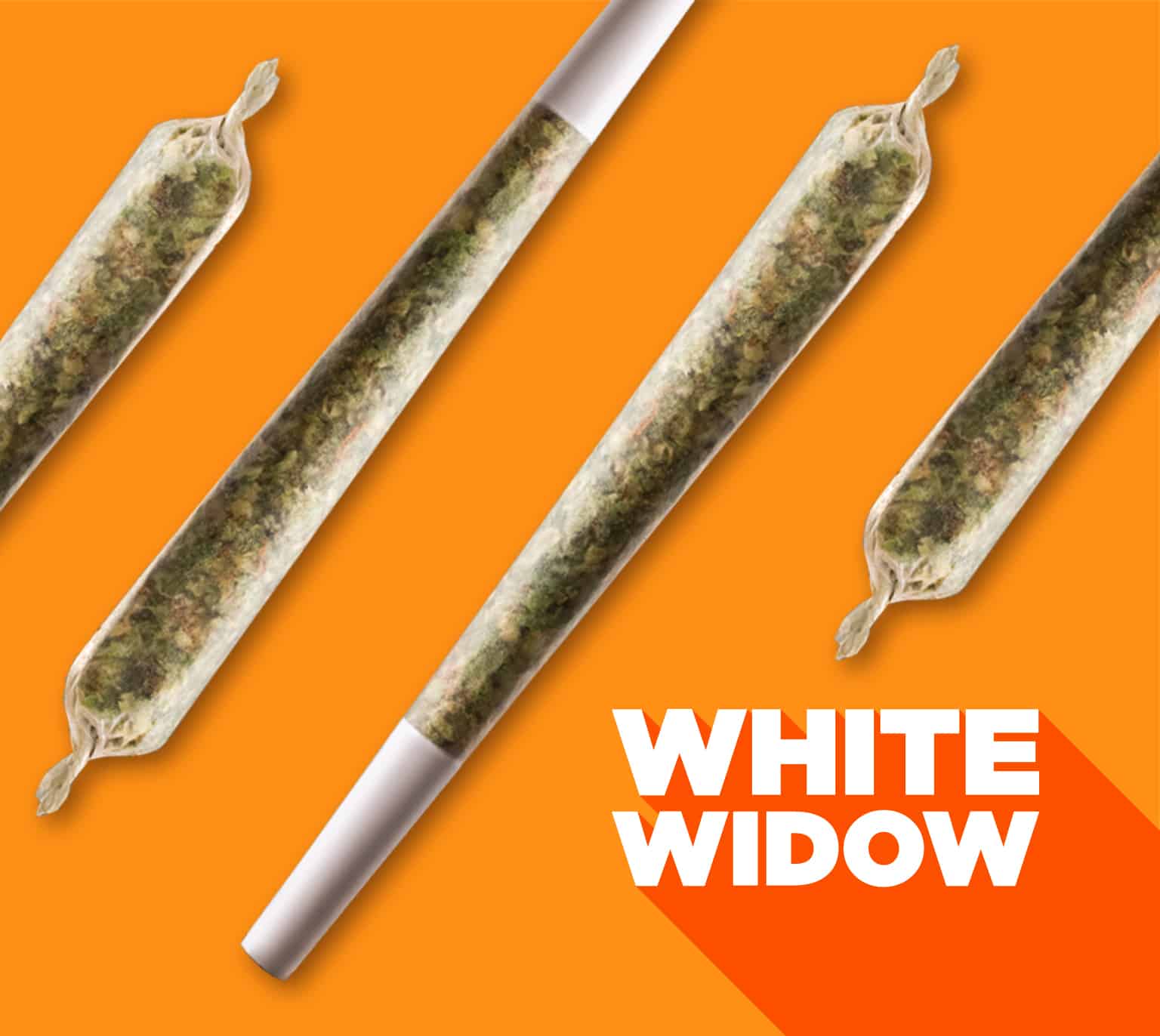 White Widow with pre-roll