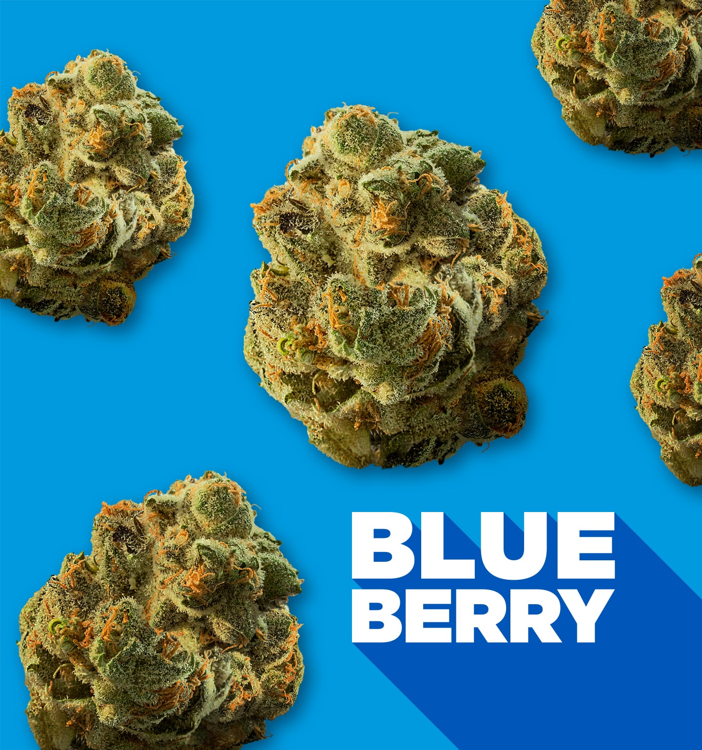 Blueberry with nugs