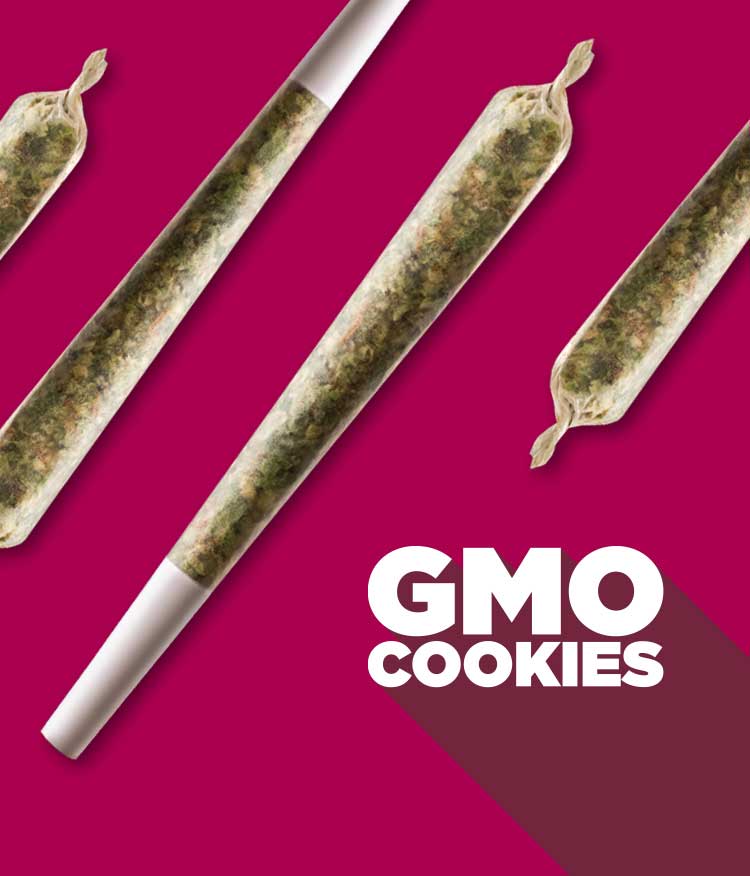 GMO Cookies with pre-roll
