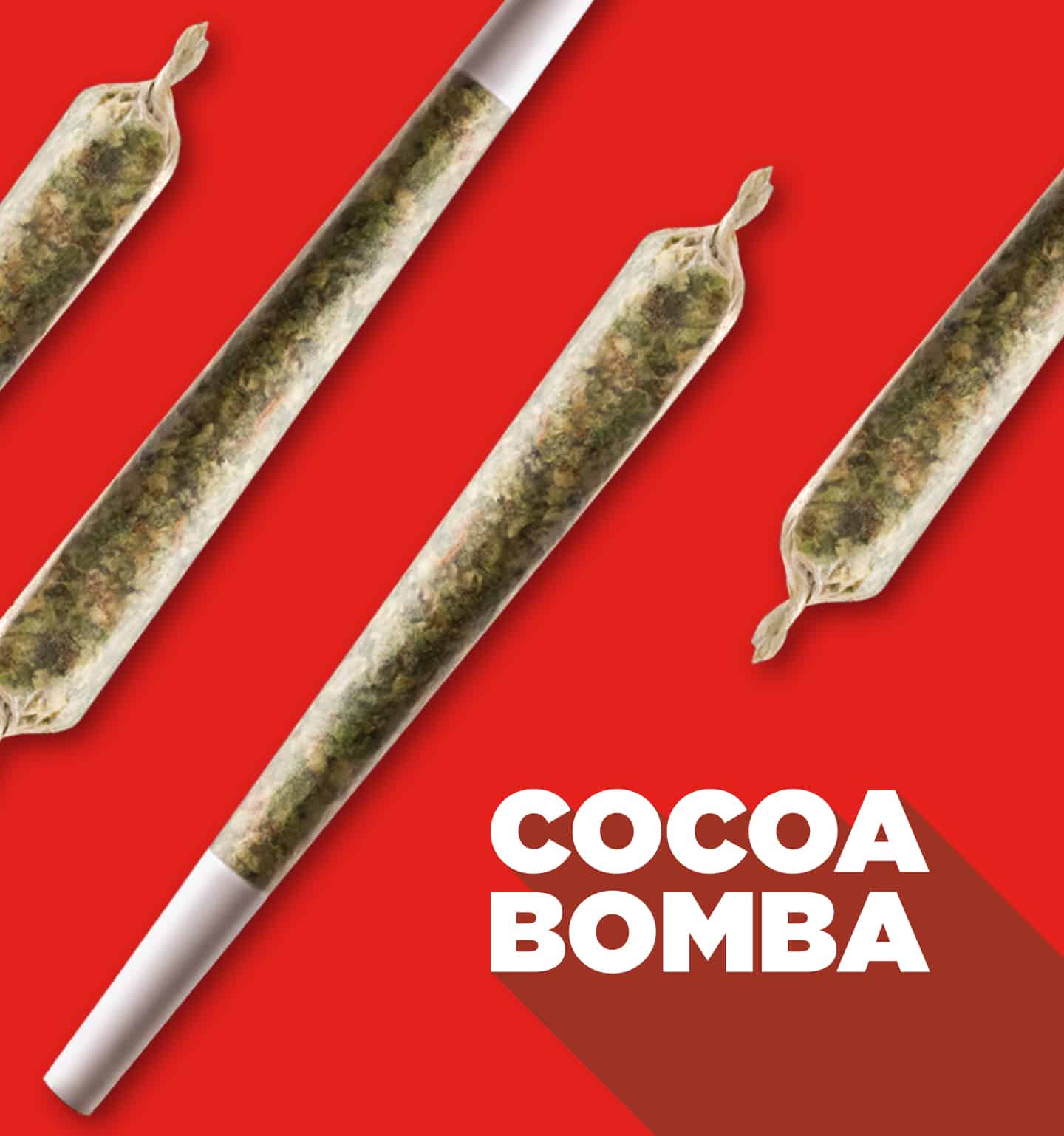 cocoa bomba with pre-roll