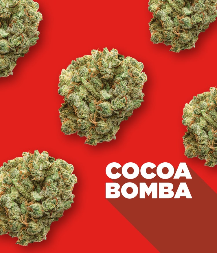 cocoa bomba with nugs