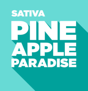 pineapple_paradise