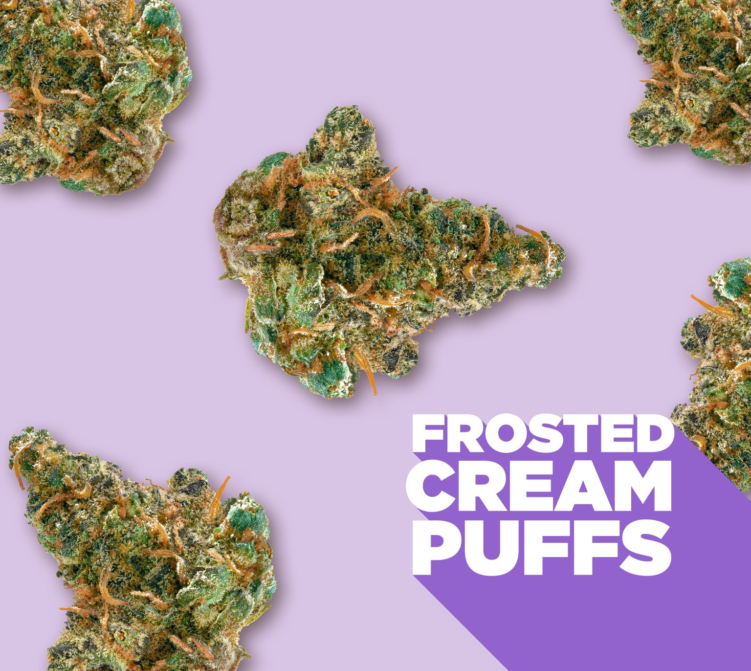 frosted cream puffs bud