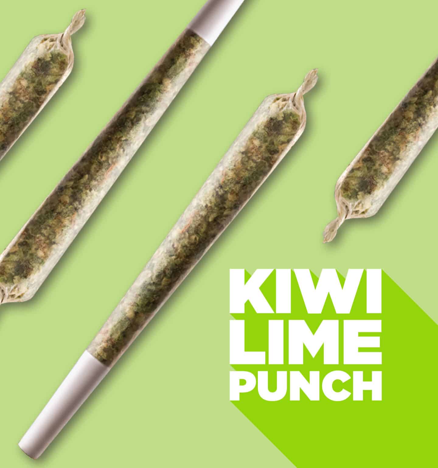 kiwi lime punch roll